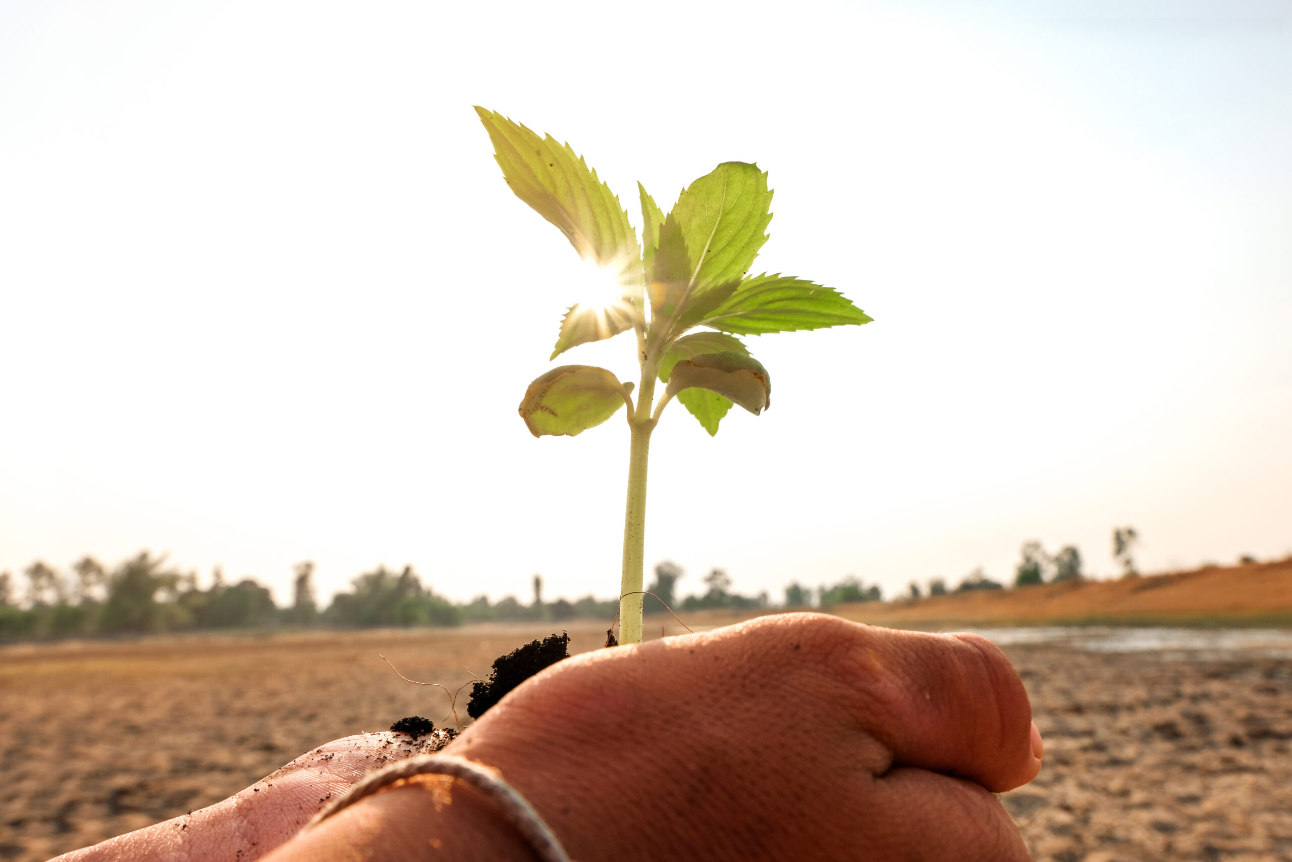 移動式ev充電器ネットワークの構築を目指すスタートアップ企業dmitry Lashin氏のインタビュー記事 Asahi Kasei Automotive